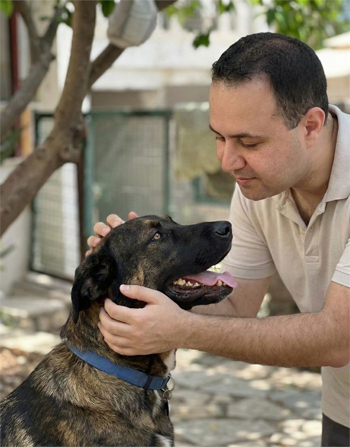 קובי חתן מלטף כלב מעורב, בניית קשר ואמון