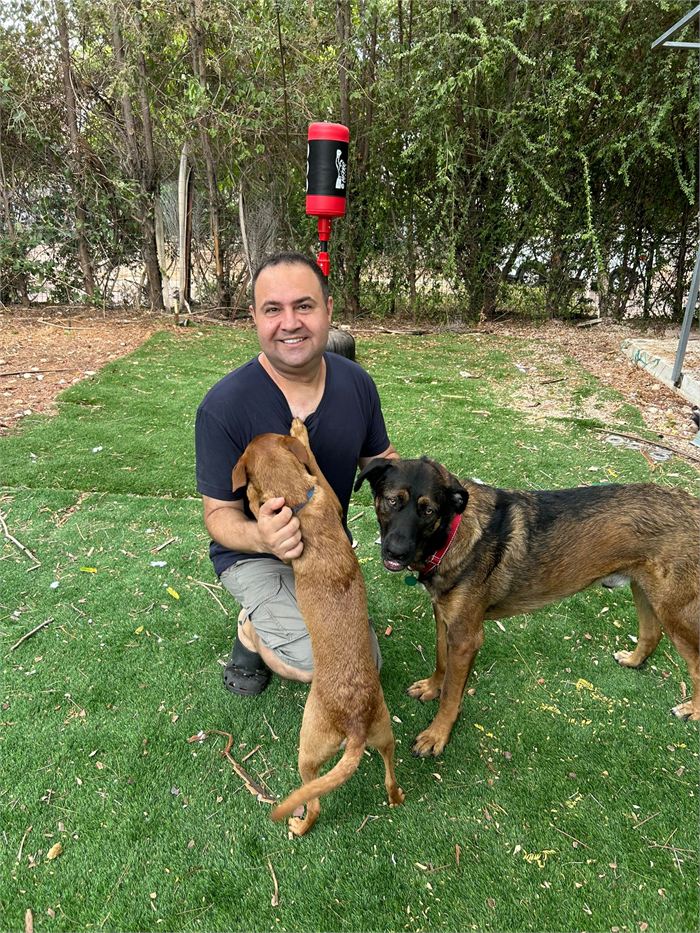 קובי חתן עם שני כלבים בדשא